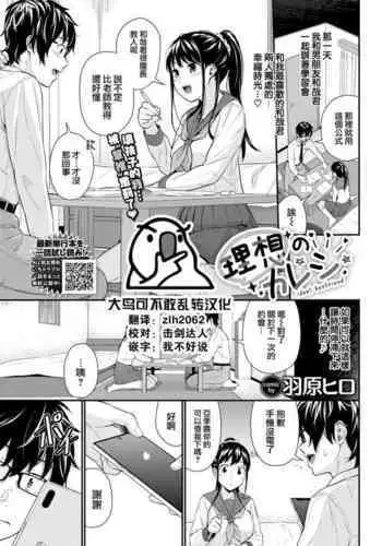 Risou no Kareshi - ideal boyfriend