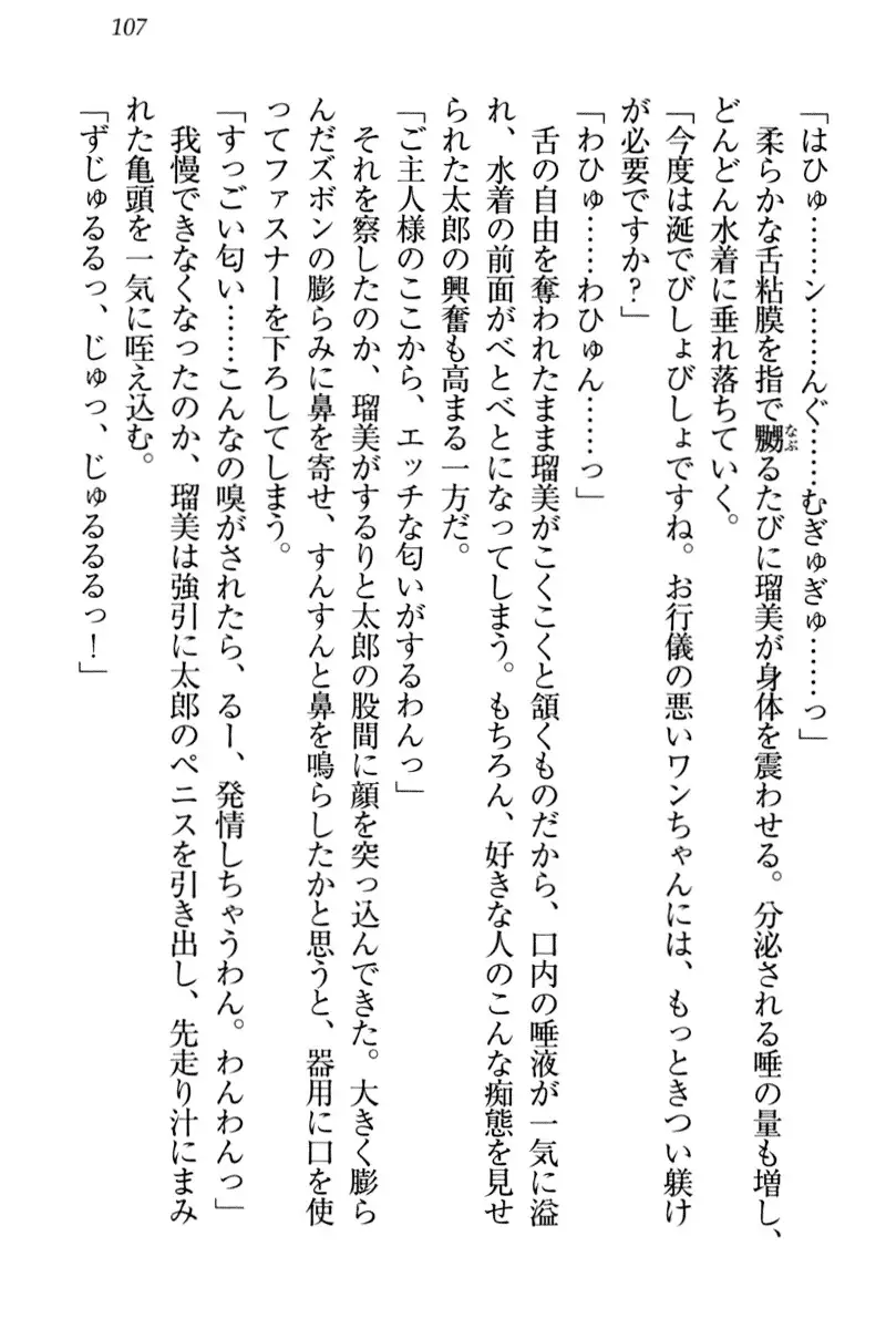 Boku to Ruu Senpai no Houkago Choukyou Nisshi - Kyou mo Watashi o Shitsukenasai!