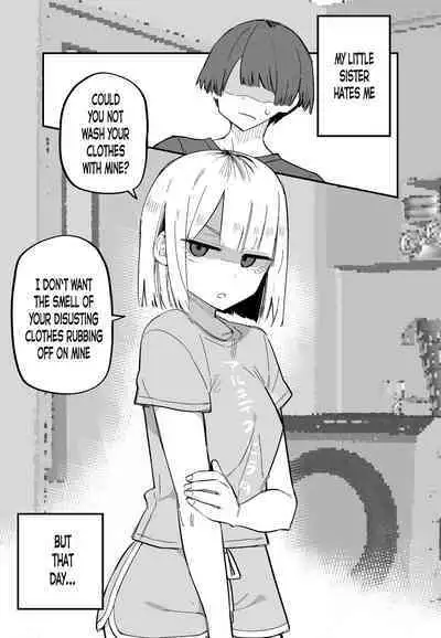 Ore no Koto ga Daikirai na Imouto ga Kowai | My Sister Who Cannot Stand Me Is Scary