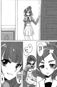 (C89) [Rope Island (Miyanoyuki)] Zettai Zetsumei Part2 (Go! Princess PreCure) [Chinese] [沒有漢化]