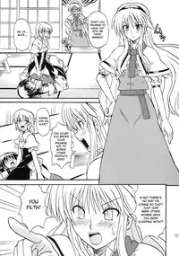 (Reitaisai 4) [Takakuya (Takaku Toshihiko)] Touhou Youjo Ranbu 8 | Touhou Enchantresses’ Dance 8 (Touhou Project) [English]