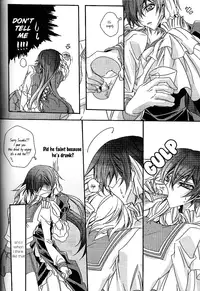 (SC37) [Fuukatei (Yazaki Ryoo)] Hime Yuugi (CODE GEASS: Lelouch of the Rebellion) [English] [BangAQUA]
