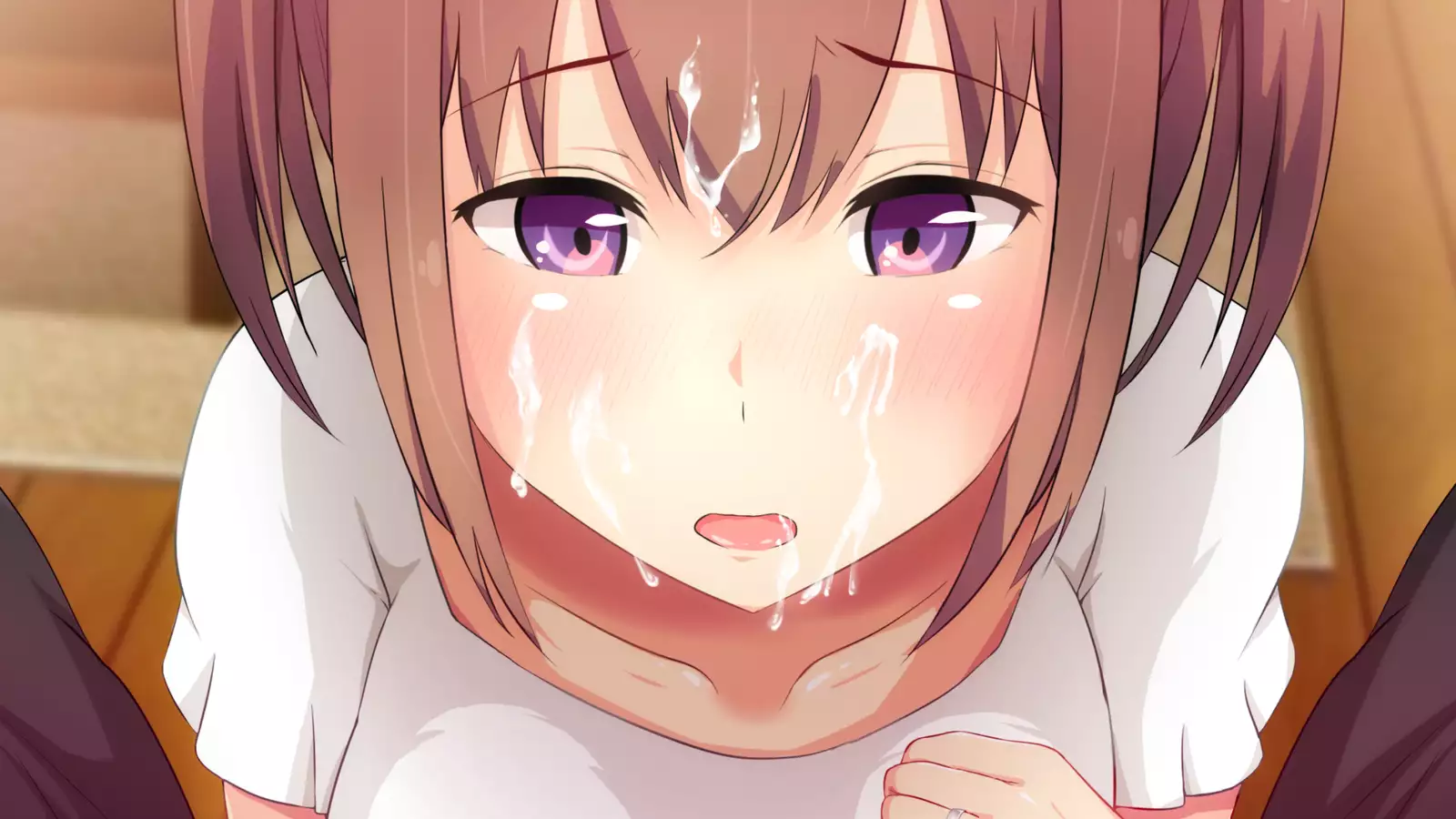 Niizuma Moto Gal wa Netorareru