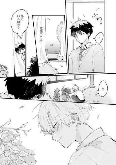 Shishunki ni wa Me no Doku desu
