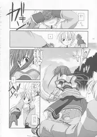 (CR33) [Digital Lover (Nakajima Yuka)] D.L. action 17 (Ragnarok Online)