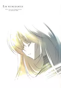 [REI's ROOM (REI)] EIN REENCOUNTER (Mahou Shoujo Lyrical Nanoha) [Chinese] [2007-07]