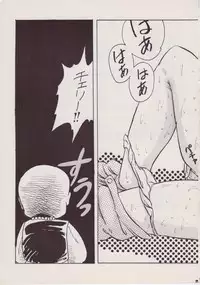 [Rhein no Mamori Shoukai (King 10Manbu, Jump 400Manbu)] Rape The Platonic (Urusei Yatsura)