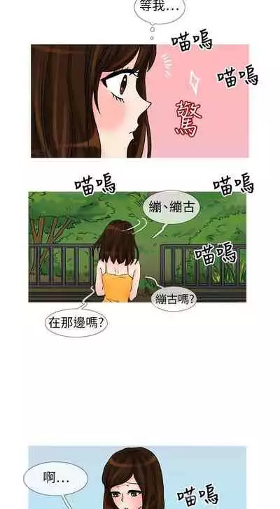 小野貓馴服手冊