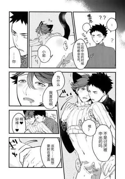 我想成为小岩的猫2 I want to become Iwa-chan's Cat! 2