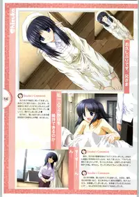 [Yameta Takashi, Sagisawa Anzu, Inuhiko] Colorful Kiss ~12 Ko no Mune Kyun~ Official Fanbook Brilliant Days!