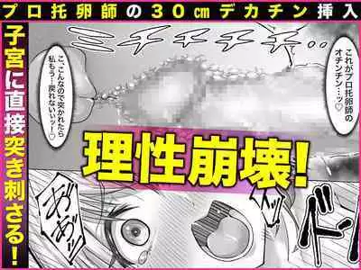 Ninshin Kongan Netorare Takuran Tsuma