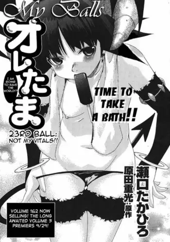Chapter 23