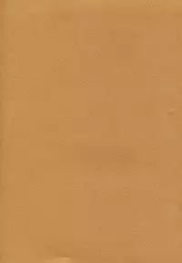 (CR33) [NOUZUI MAJUTSU, NO-NO'S (Kawara Keisuke, Kanesada Keishi)] Caffe' latte