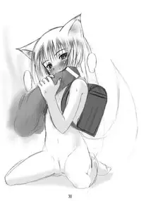 (C67) [Tanmatsu Ijou (BadHanD)] Byakko no Mori