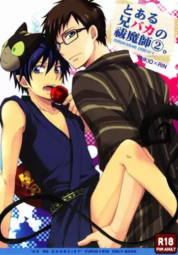 (Ao no Seiiki Lv.2) [USAKAZI. (Nanjou Tsugumi)] To Aru Ani-Baka no Exorcist 2. (Ao no Exorcist)