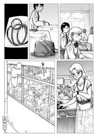 [Error] Before the Test [English]