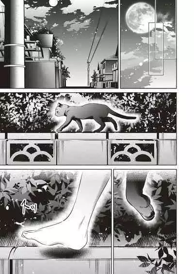 Yokubou Pandora Yokubou 1-29