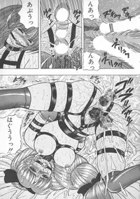 [Kashiwagi Rei] Himerareta Koukishin