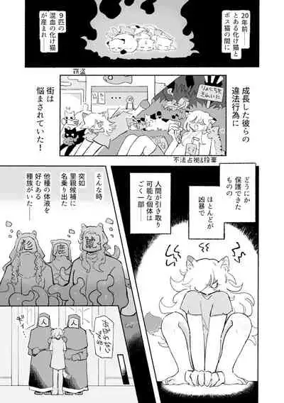 ねこちゃんはきゅうすいき