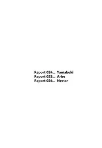 (C72) [Behind Moon (Q)] Dulce Report 9 [English] [SaHa]