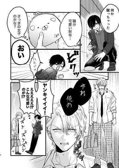 ヤンキーくんのお気に入りなんてお断り!