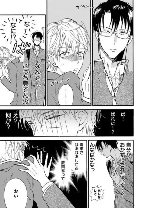Erotoro ver. SS