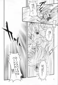 (C67) [Kotori Jimusho (Sakura Bunchou)] chanson de I'adieu (Sailor Moon)