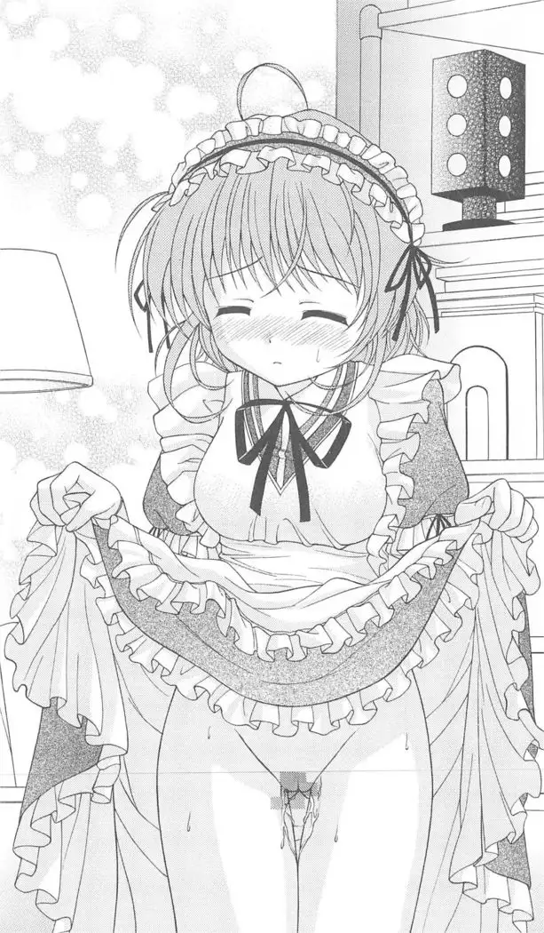 FORTUNE ARTERIAL かなで編