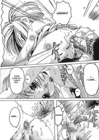 [Smilodon] Shoujo no Himegoto [English] {desudesu}