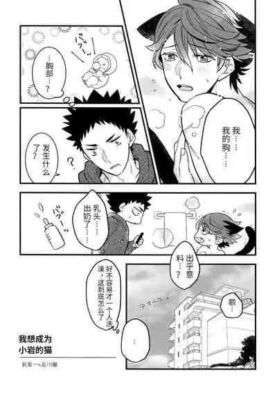 我想成为小岩的猫3 I want to become Iwa-chan's Cat! 3