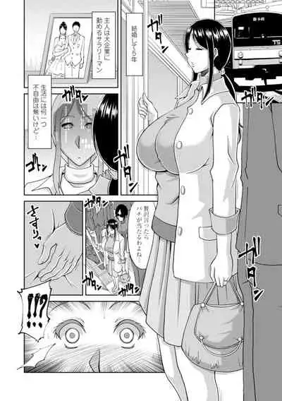 堕（お）とされ疼き妻【電子版特典付き】