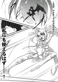 (Puniket 22) [C.R's NEST (Miyabikawa Sakura, C.R)] SILHOUETTE HEART (HeartCatch Precure!)