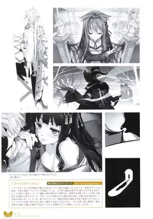 八宝備仁画集 紅蝶（ほてり）