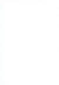 (C78) [UDON-YA (Kizuki Aruchu, ZAN)] Monhan no Erohon 9 (Monster Hunter) [English] [darknight]