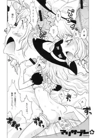 (C70) [RiceCandy (Various)] Marisabure (Touhou Project)