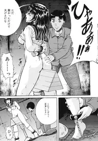 [Shizuki Shinra] Mesuinu Choukyou Nikki