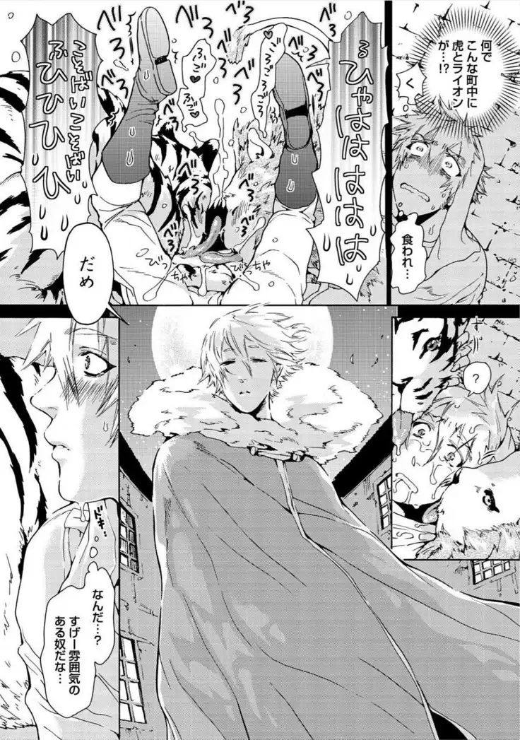 Itoshino Mitsuyoku Circus