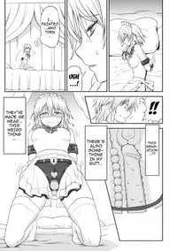 (C85) [Sumeragi Designs (Sumeragi Seisuke)] D4C continue (Touhou Project) [English] {doujins.com}