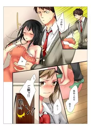 Ane ga 20 Sai ni Natte mo Shojo nandaga.