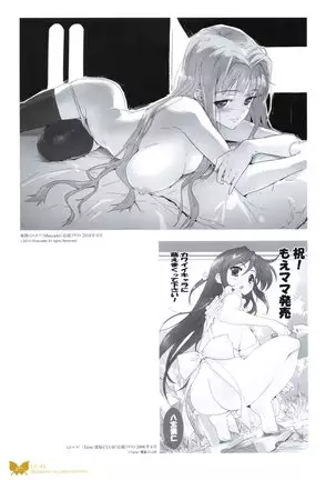 八宝備仁画集 紅蝶（ほてり）