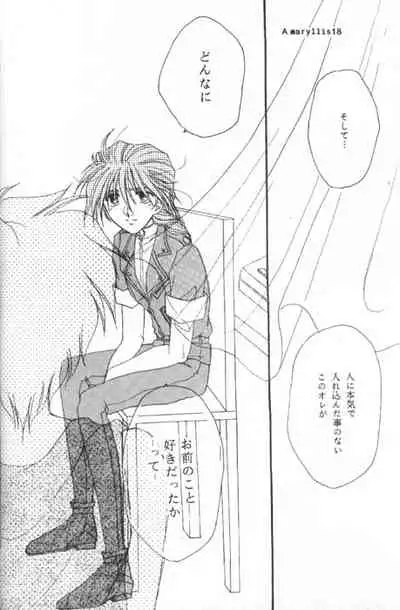 [Youkai Club (Hazuki Younosuke)] Amaryllis (Gundam Wing)