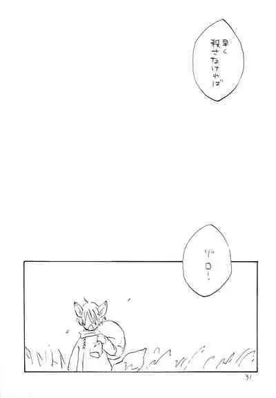 海の虹が沈む森