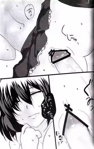 (Kouroumu 6) [Hyudorabo (Hyudora)] Touhou Derebitch 3 (Touhou Project)