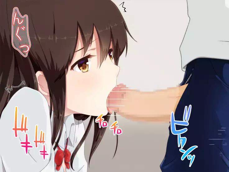 Seiso na Mitame nanoni Nakadashi OK na Ecchi Daisuki J● to Enjo Shitemita