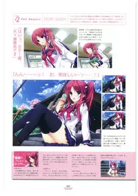 LOVELY CATION 1&2 VISUAL FAN BOOK