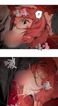 捕猎母猪 [中国翻訳]