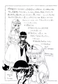 [IRIE YAMAZAKI] Princess File