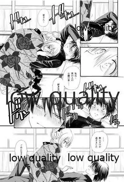 匣の中の猫