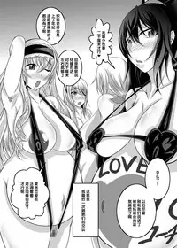 [Bitch Bokujou (Bokujou Nushi K)] GIRLS MEET DQN’S TINPO (IS <Infinite Stratos>) [Chinese] [氪金汉化组] [Digital]