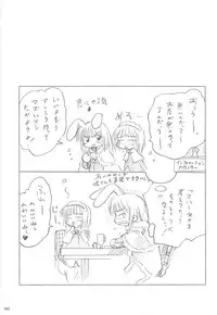 [観月堂] 電撃ラグナ (RO)